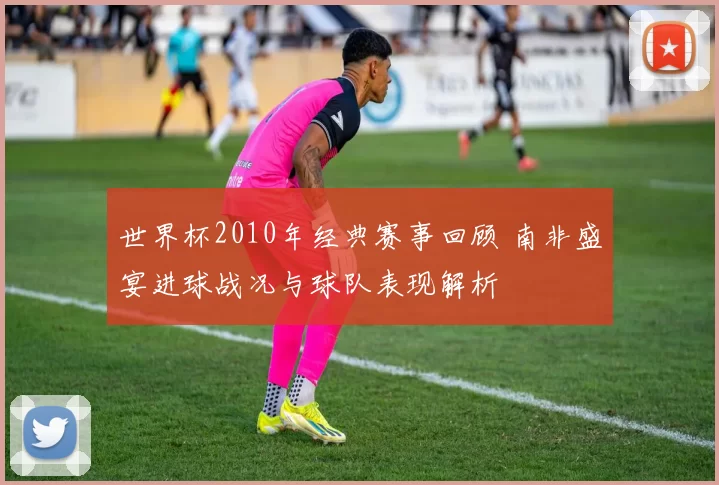 世界杯2010年经典赛事回顾 南非盛宴进球战况与球队表现解析