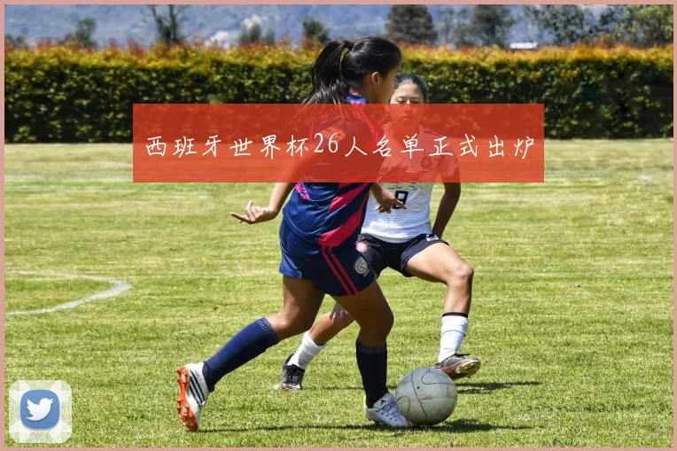 西班牙世界杯26人名单正式出炉