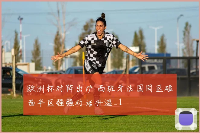 欧洲杯对阵出炉 西班牙法国同区碰面半区强强对话升温_1