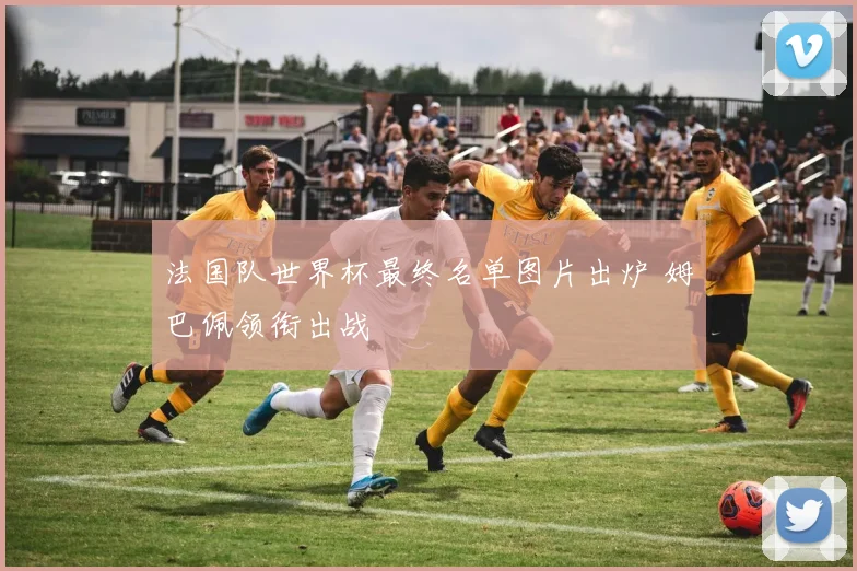 法国队世界杯最终名单图片出炉 姆巴佩领衔出战