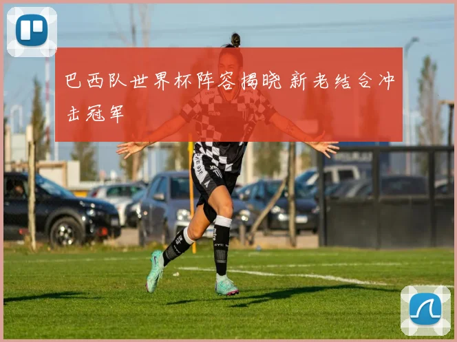 巴西队世界杯阵容揭晓 新老结合冲击冠军