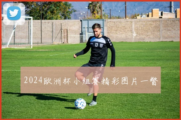2024欧洲杯小组赛精彩图片一瞥
